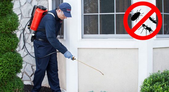 Evka 2 Fare İlaçlama böcek ilaçlama ve haşere kontrolü — ilaclama-tr.com